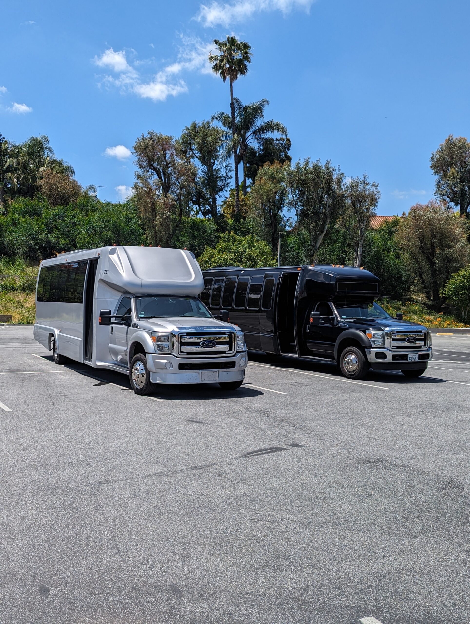 PXL_20240427_200528587.MP